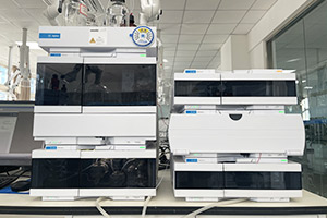 97622��������Ʒ��(�й���)-�ٷ���վ